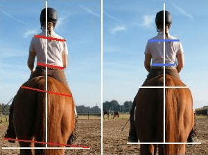   Waarom in het eigenlijk nodig je paard te trainen?